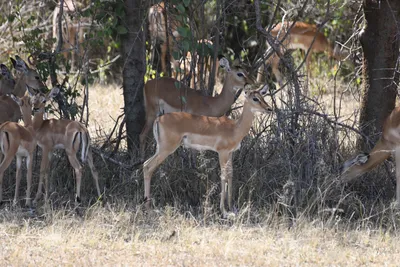 DSC_3521 (Large).JPG